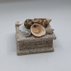 Shell Box